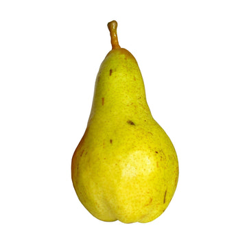 Pear - Conference | Exotic Fruits - Rare & Tropical Exotic Fruit Shop UK